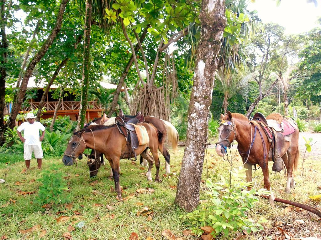 Punta Preciosa Puerto Jiménez Exterior foto