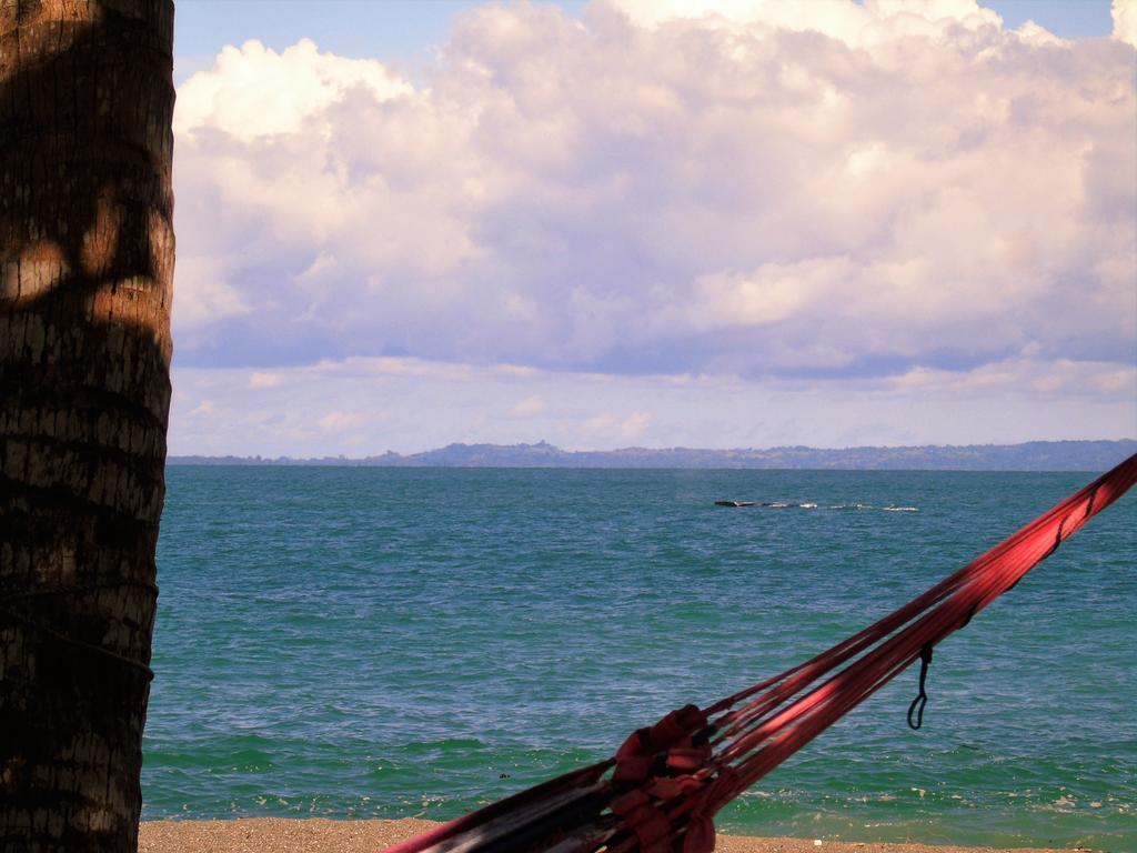 Punta Preciosa Puerto Jiménez Exterior foto