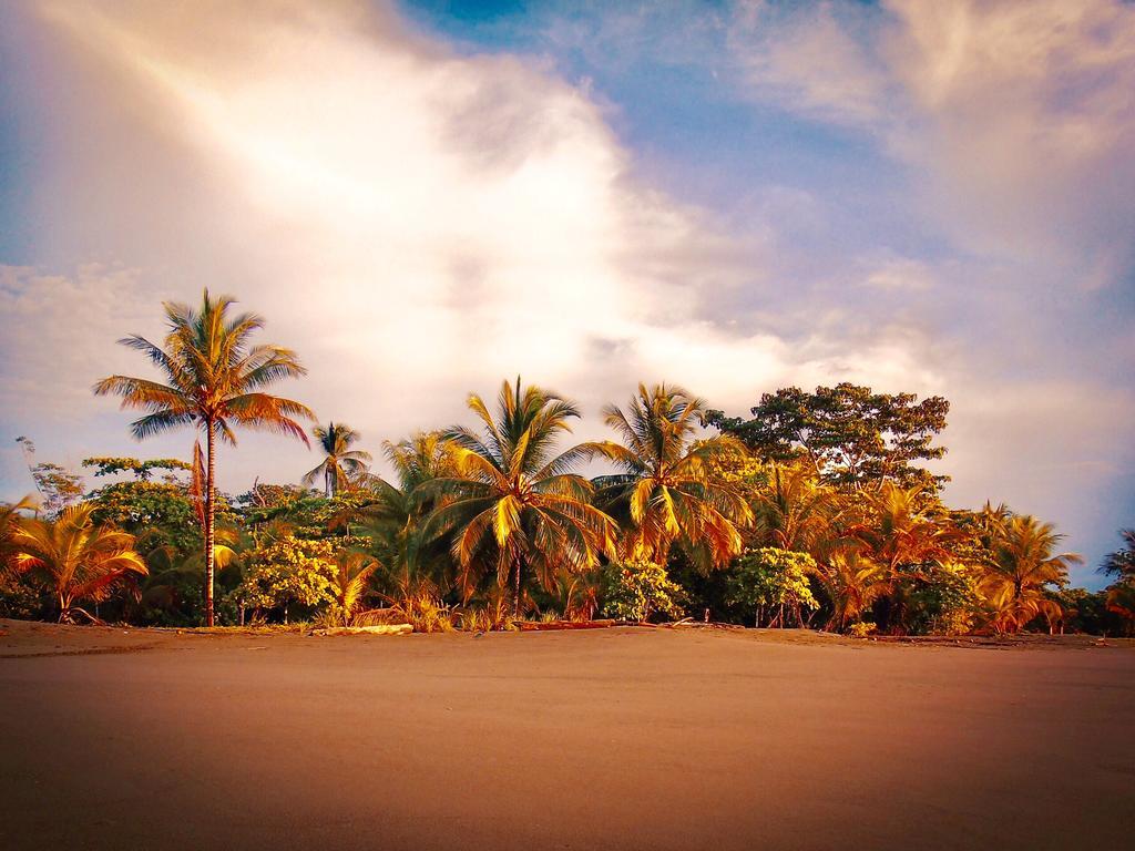 Punta Preciosa Puerto Jiménez Exterior foto