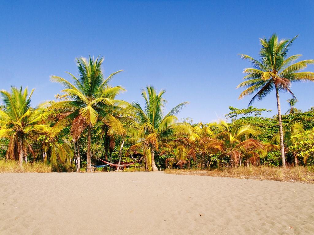 Punta Preciosa Puerto Jiménez Exterior foto